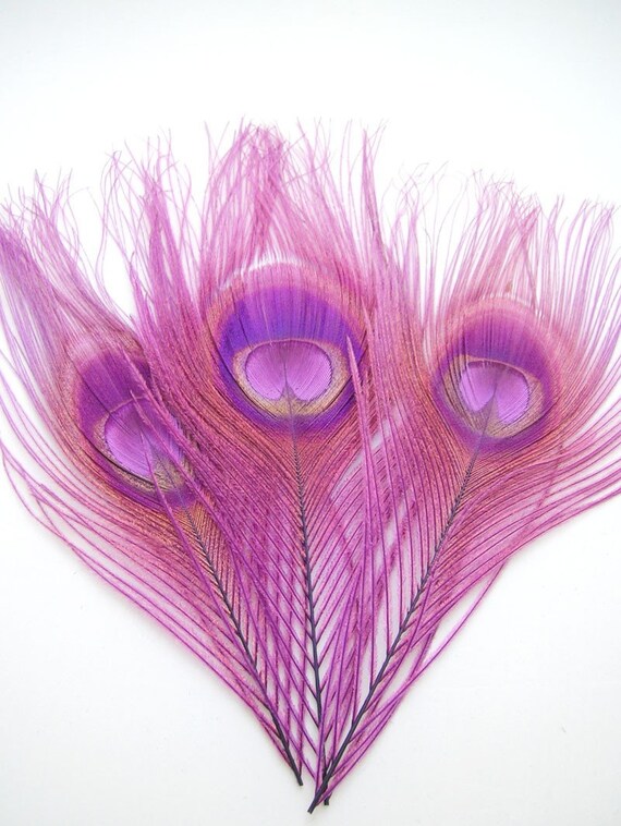 GRAPE PURPLE Peacock Feather Eyes. Pristine D.I.Y. feathers for boutonnieres, earrings, wedding bouquets and millinery (Large)(6 Feathers)
