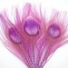 GRAPE PURPLE Peacock Feather Eyes. Pristine D.I.Y. feathers for boutonnieres, earrings, wedding bouquets and millinery (Large)(6 Feathers)