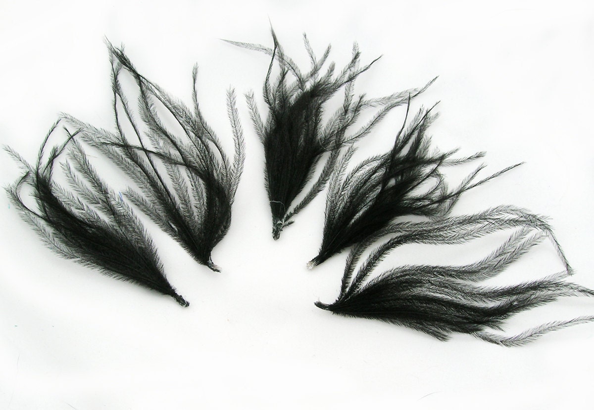 BLACK Ostrich Feather Sprays. Cruelty free DIY feathers for hair fascinators, boutonnieres and millinery (5 Sprays)