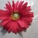 Bright Pink Flower on Alligator Hair Clip