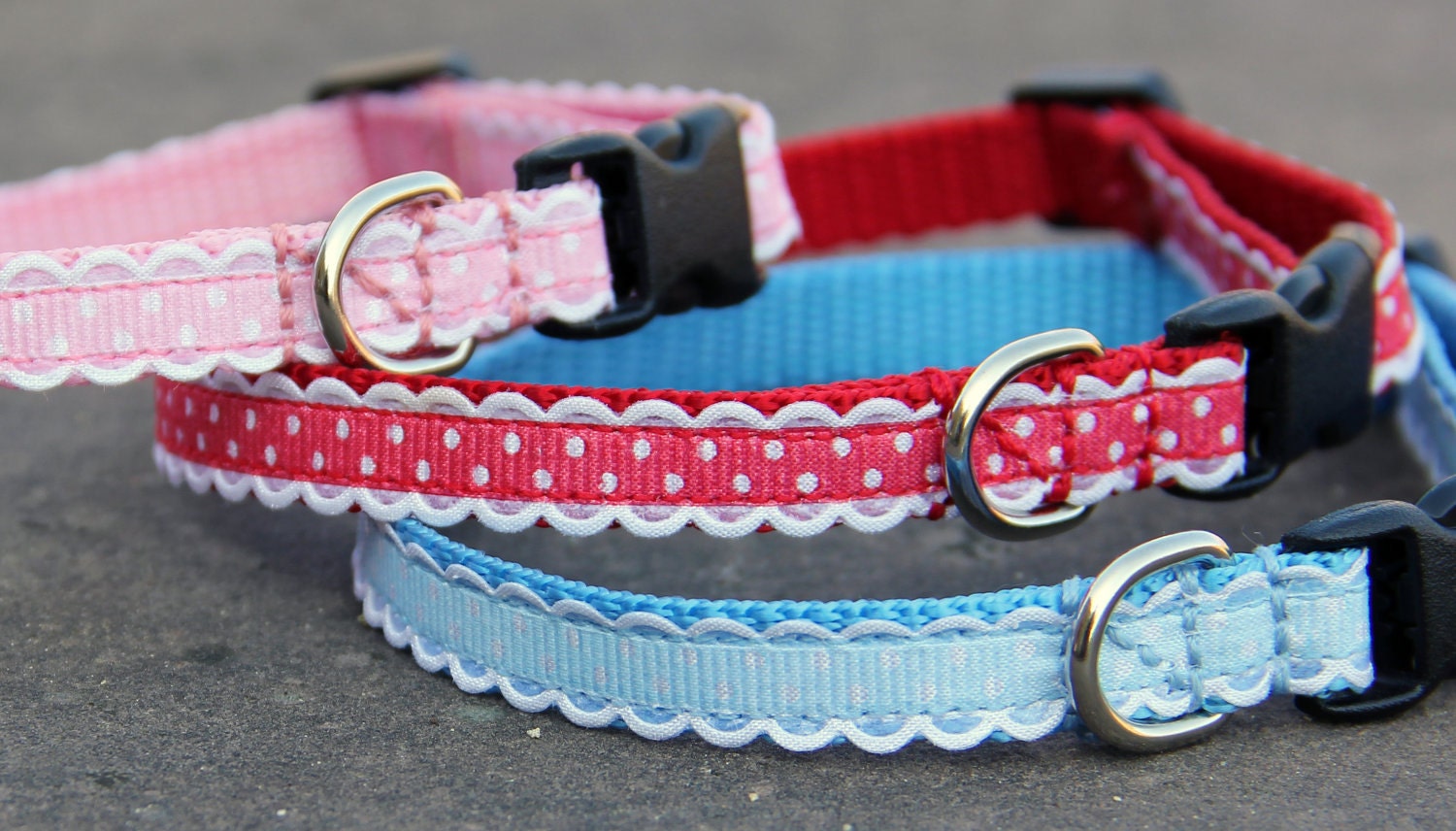 Spotty Scallop-edged Dog Collars - narrow width for the smallest dogs / puppies