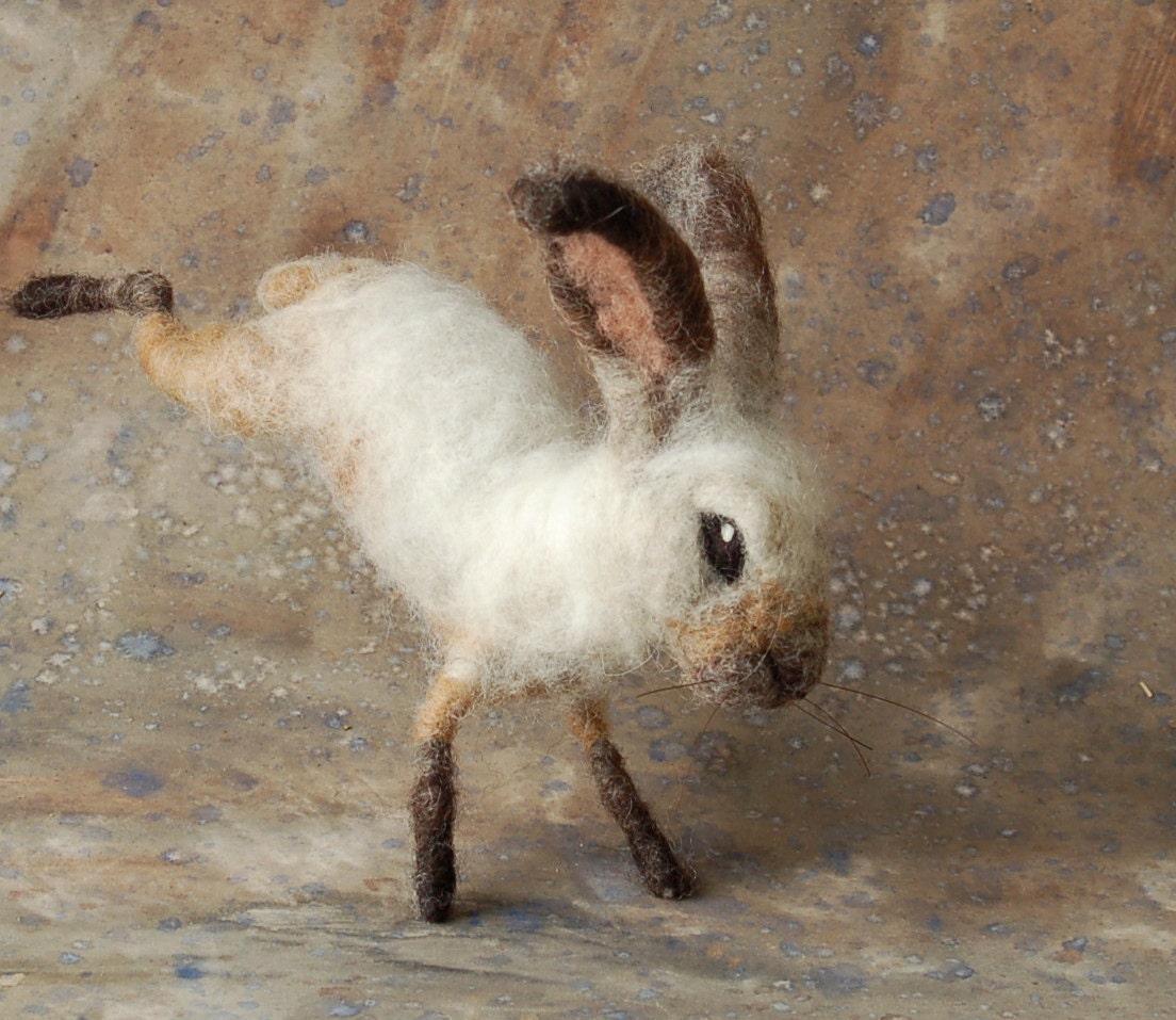 Basket Bunny Oatmeal