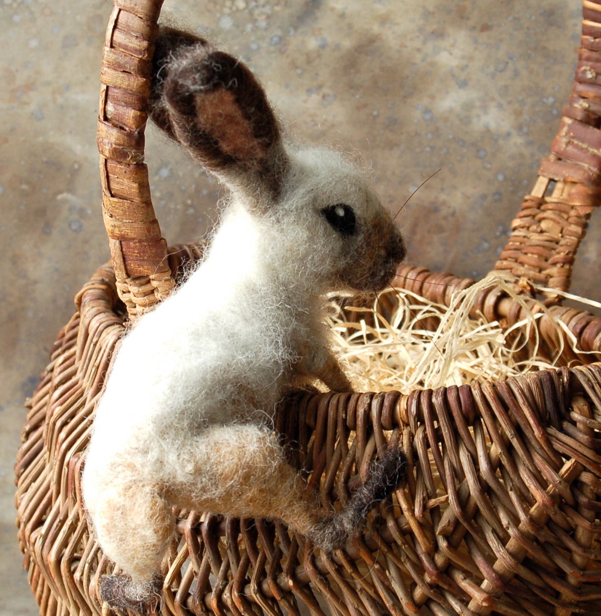 Basket Bunny Oatmeal