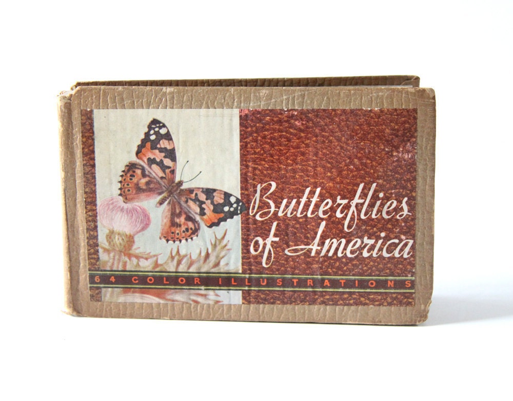 Butterflies and Moths Book of Prints - Gift for Mom or Daughter