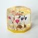 Lucite Polyhedron Paperweight - Dried Flowers
