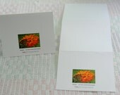 Individual Tri-Fold Note Card