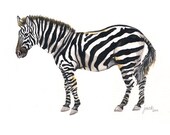 Zebra watercolor