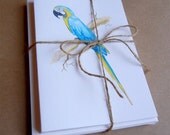 Tropical Merriment greeting cards