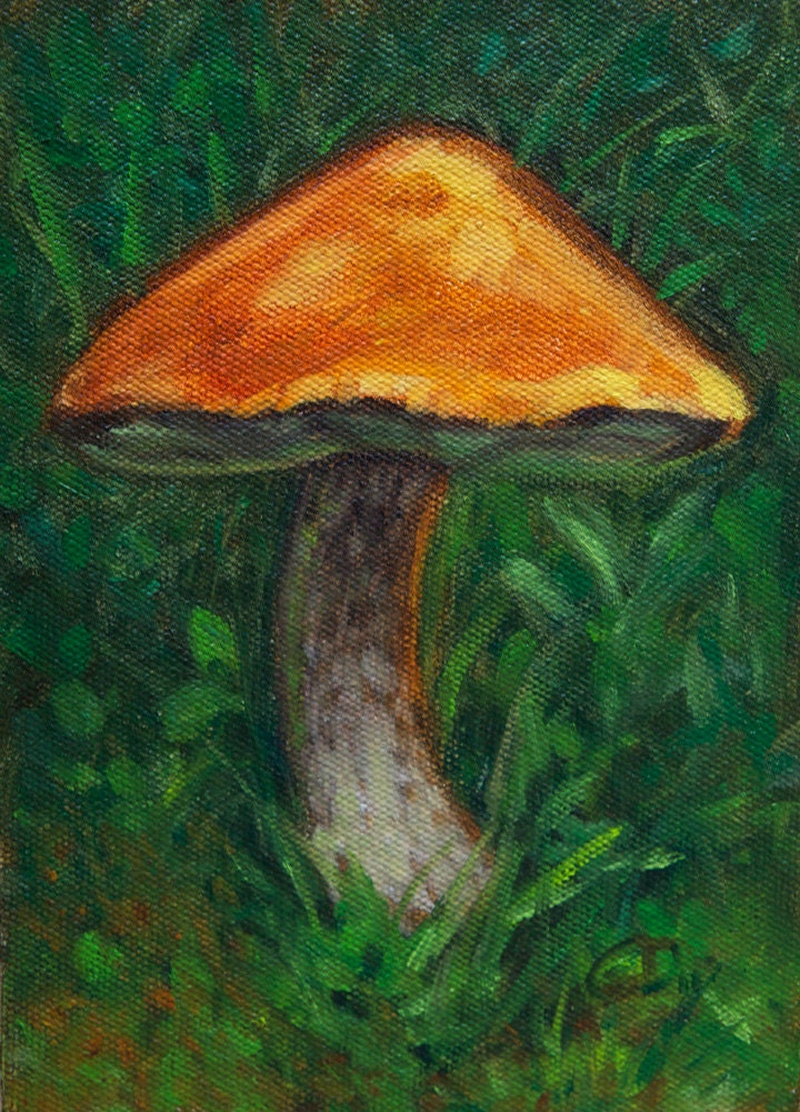 S.F.A Mushroom Painting Oil Small Art Red Top Nature on Canvas Board - 5" x 7"