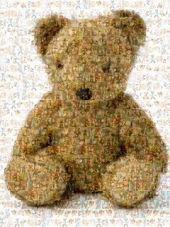 Teddy--8x10