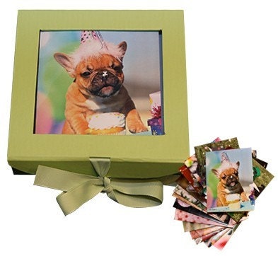 Assorted French Bulldog Greeting Cards in Flip Top Box