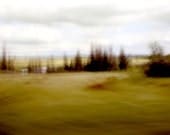 Limited edition 8 x 8 inch fine art Hahnemuhle photograph (landscape 021) chartreuse nature home décor