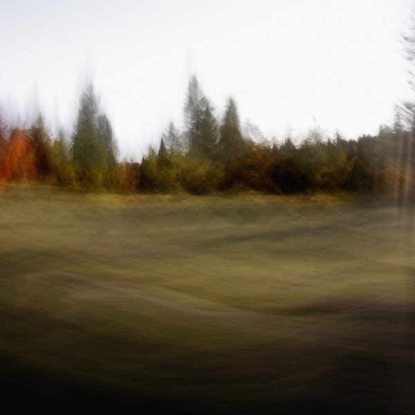 Limited edition 8 x 8 inch fine art Hahnemuhle photograph (landscape 27) neutral woodland home decor