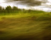 Limited edition 8 x 8 inch fine art Hahnemuhle photograph (landscape 032) yellow woodland abstract home decor