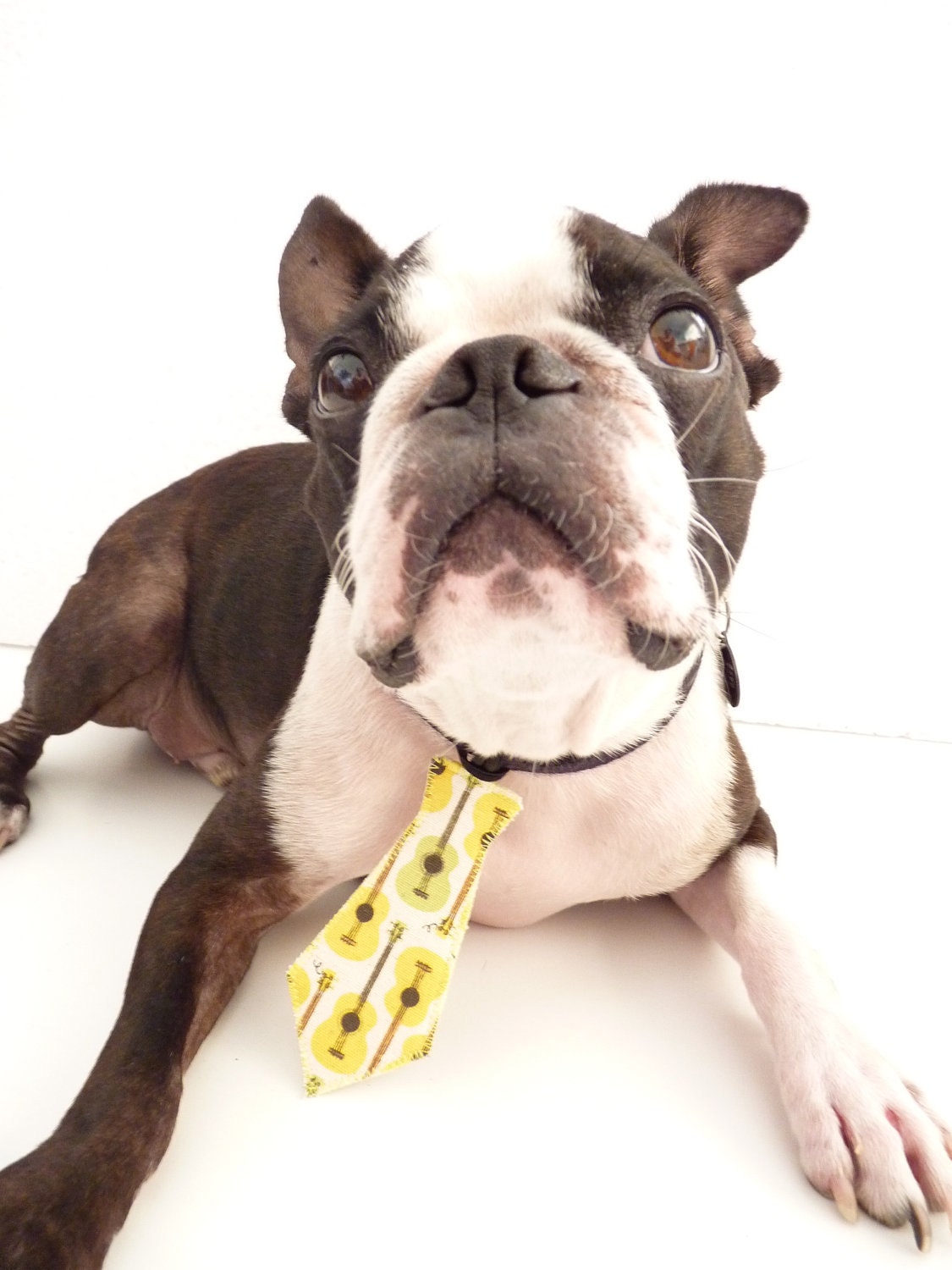 Pet Tie / The "Bubba Tie" for Happy Pets / I want to be a Rock Star / Colorful Guitars Linen Fabric
