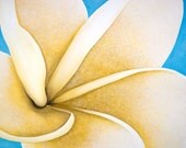 White Twist 8x10 Fine Art Print by Eriksdotter