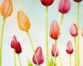 Field of Tulips 8x10 Fine Art Print by Eriksdotter