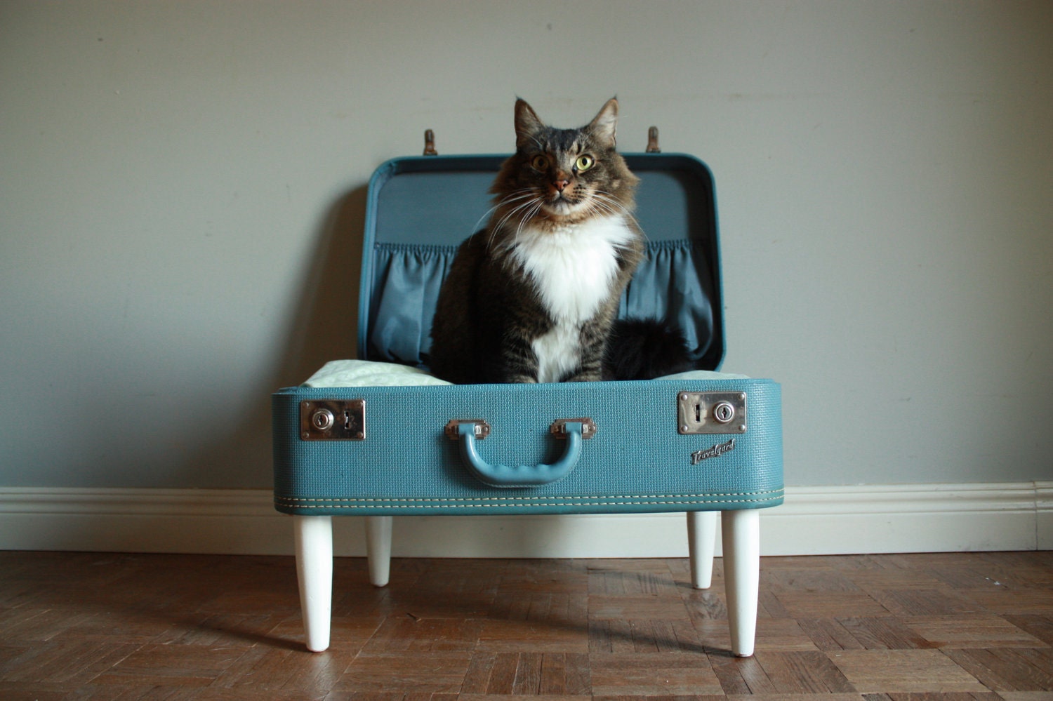 Cozy Cargo Suitcase Pet Bed - Pretty Blue and Green Paisley - Upcycled Luggage
