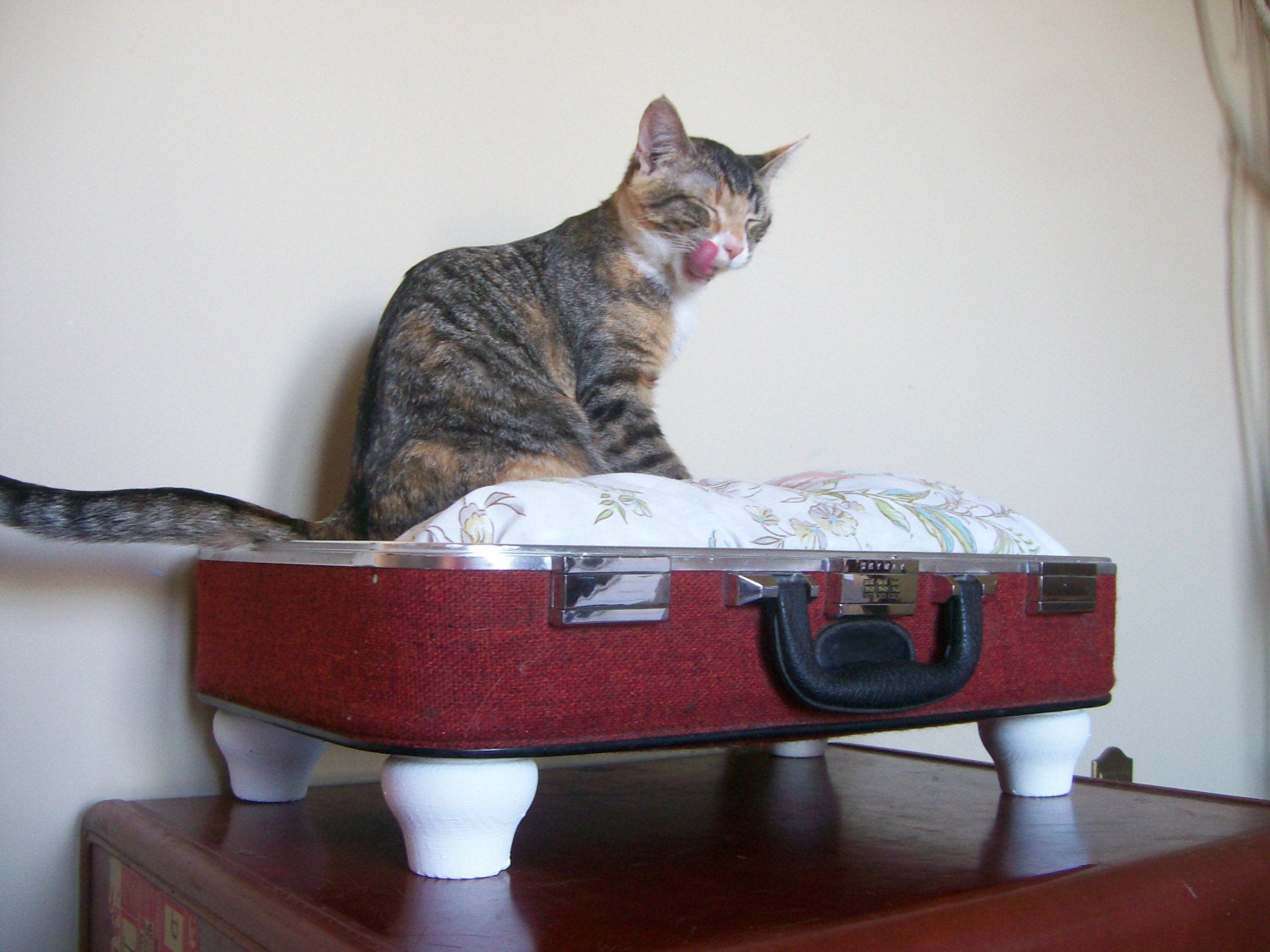 Upcycled Vintage Suitcase Pet Bed - Redish Orange Tweed - Black Handle with White Short Legs - Floral Pillow - Eco Earth Friendly