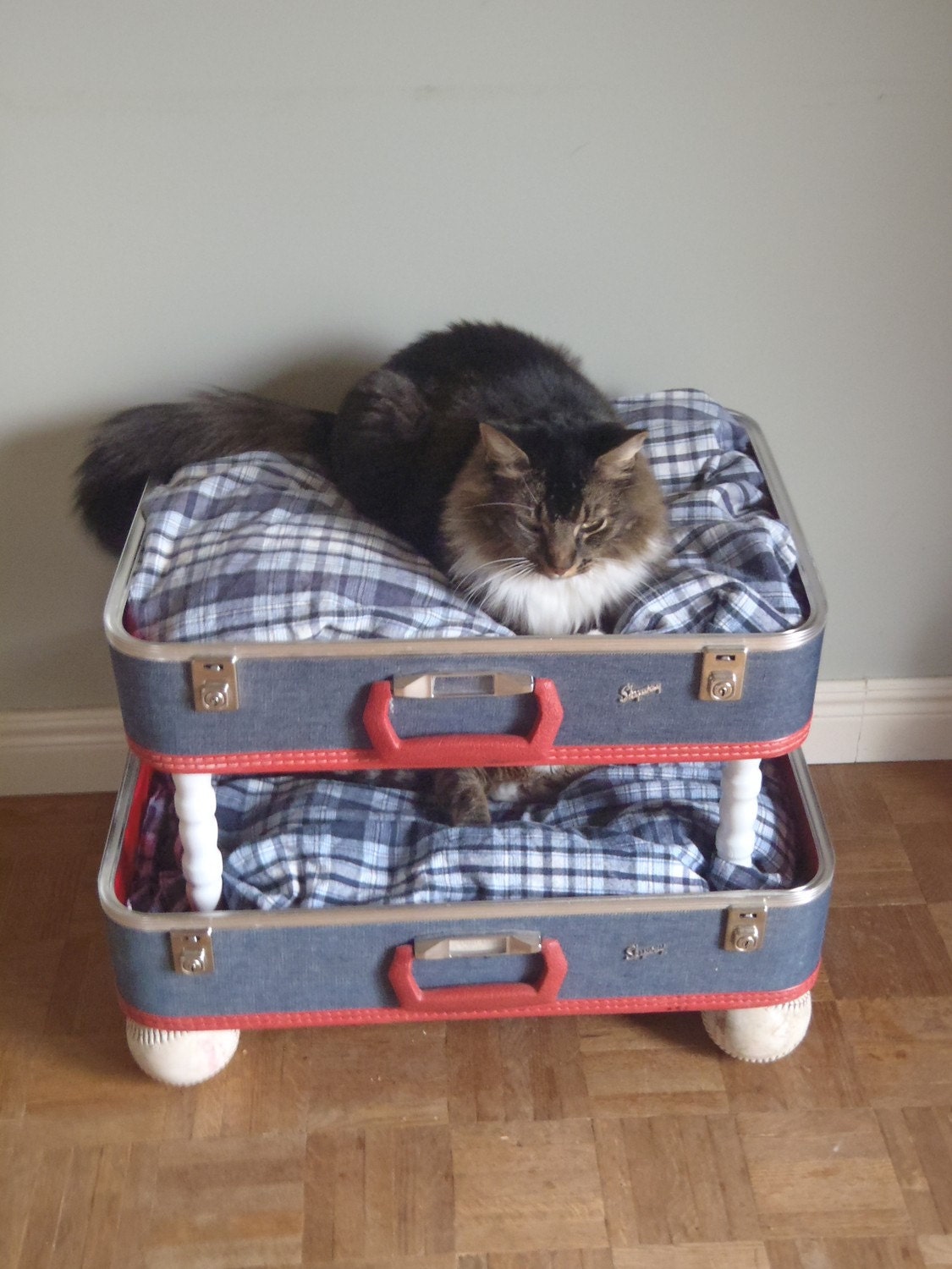 Lovable Luggage Pet Bunk Bed - Upcycled Suitcases, Reclaimed Softballs - 2 dollars goes to TLC CAT RESCUE