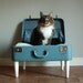 Cozy Cargo Suitcase Pet Bed - Pretty Blue and Green Paisley - Upcycled Luggage
