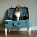 Cozy Cargo Suitcase Pet Bed - Pretty Blue and Green Paisley - Upcycled Luggage