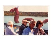 Great Lakes Serpent - 8.5 x 11 Print