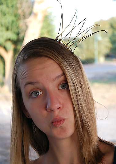 Wire  princess crown