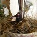 Reindeer Moss Topiary in Vintage Purple Polychrome English Transferware Teacup with Nesting Bird