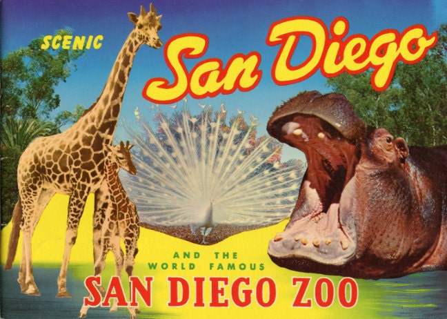 Scenic San Diego and the World Famous San Diego Zoo - 1962 city guide