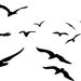 Wall Decal Flock of Seagulls Birds In Flight Animals Nature Coast Ocean