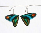 Earrings Farfalla