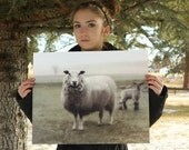 Any Print 16x20 Archival Fine Art Photograph