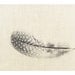 A Zen Series of Natural History Objects 8x 10 Fine Art Photograph