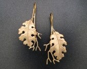 Golden Oak Earrings