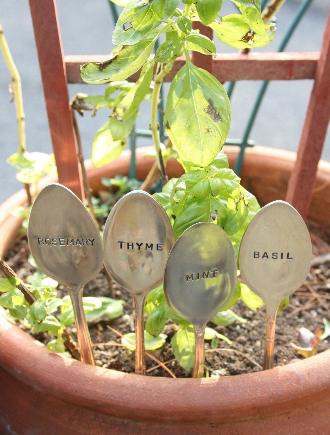 Basil Mint Rosemary Thyme silverware garden marker set silver plated  flatware