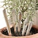 Herb Garden Stakes Set of 5 seedling markers vintage silver plated silverware by beachhouseliving etsy