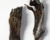 Squirrel Paw, ONE real preserved animal paw Hoodoo, taxidermy, magic, charms, Romace, Employment