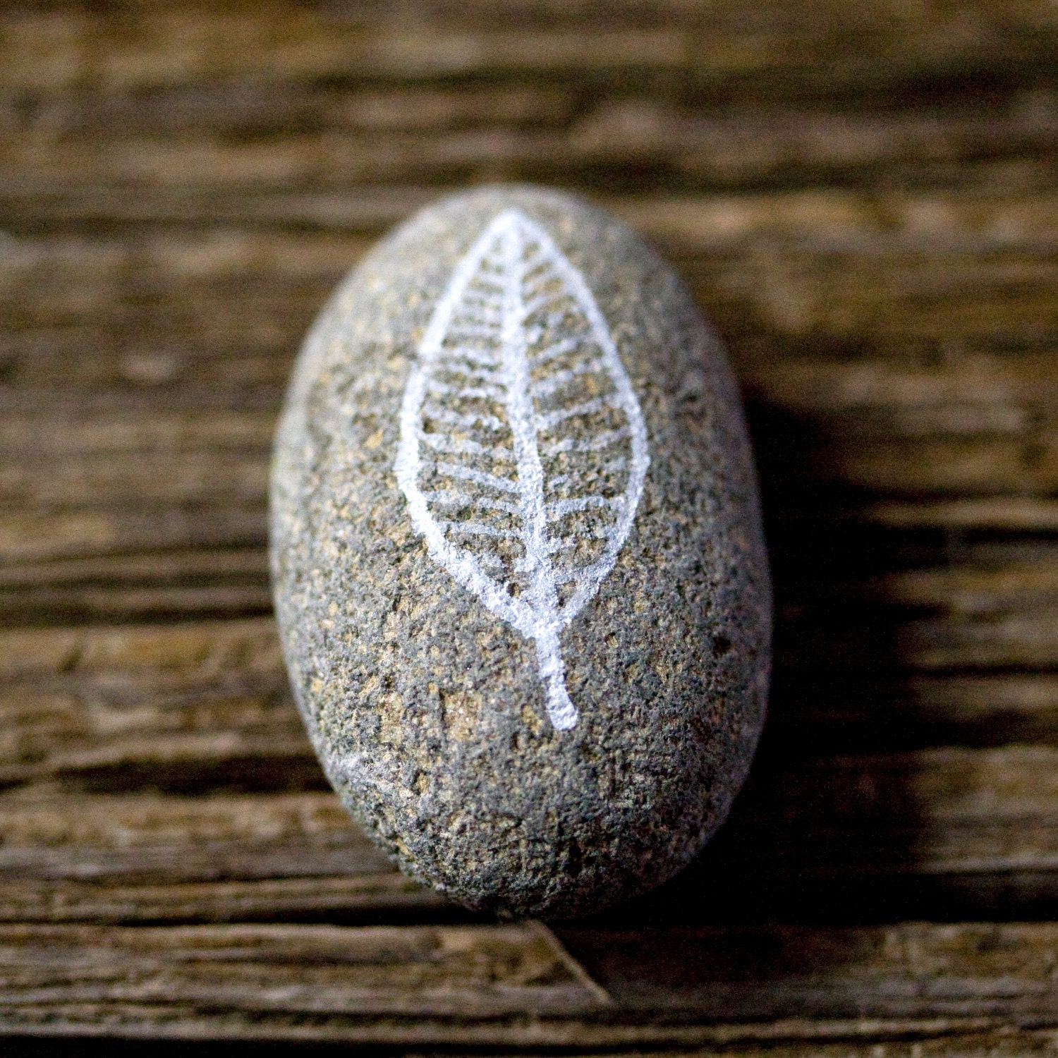 Original rock drawing for your terrarium