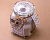 Large Deluxe Jar Terrarium Kit