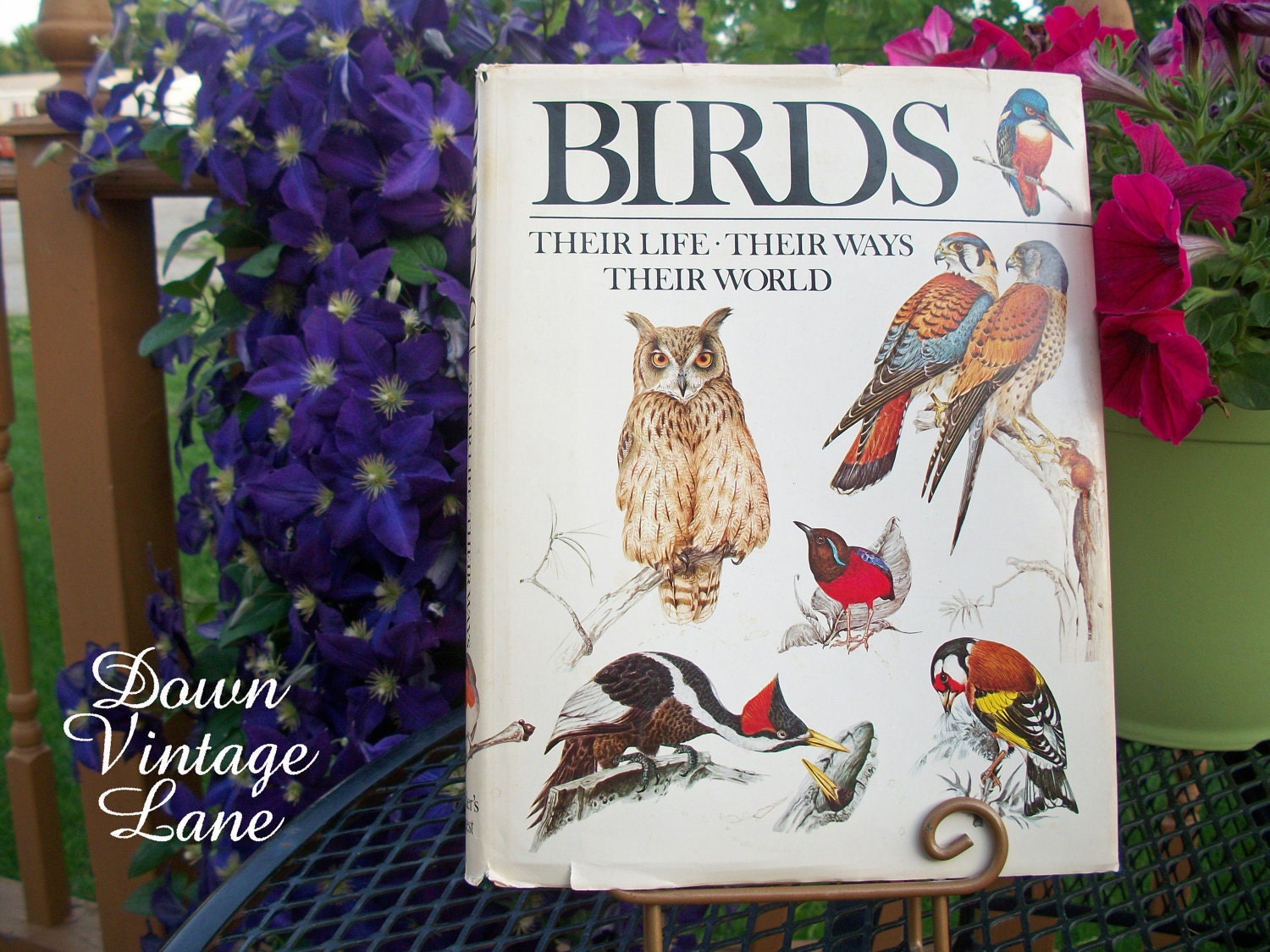 Vintage BIRDS Book, Their Life, Their Ways, Their World 1979