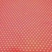 Red with White Polka Dots Lunch Buddie (Reusable Lunch Box)
