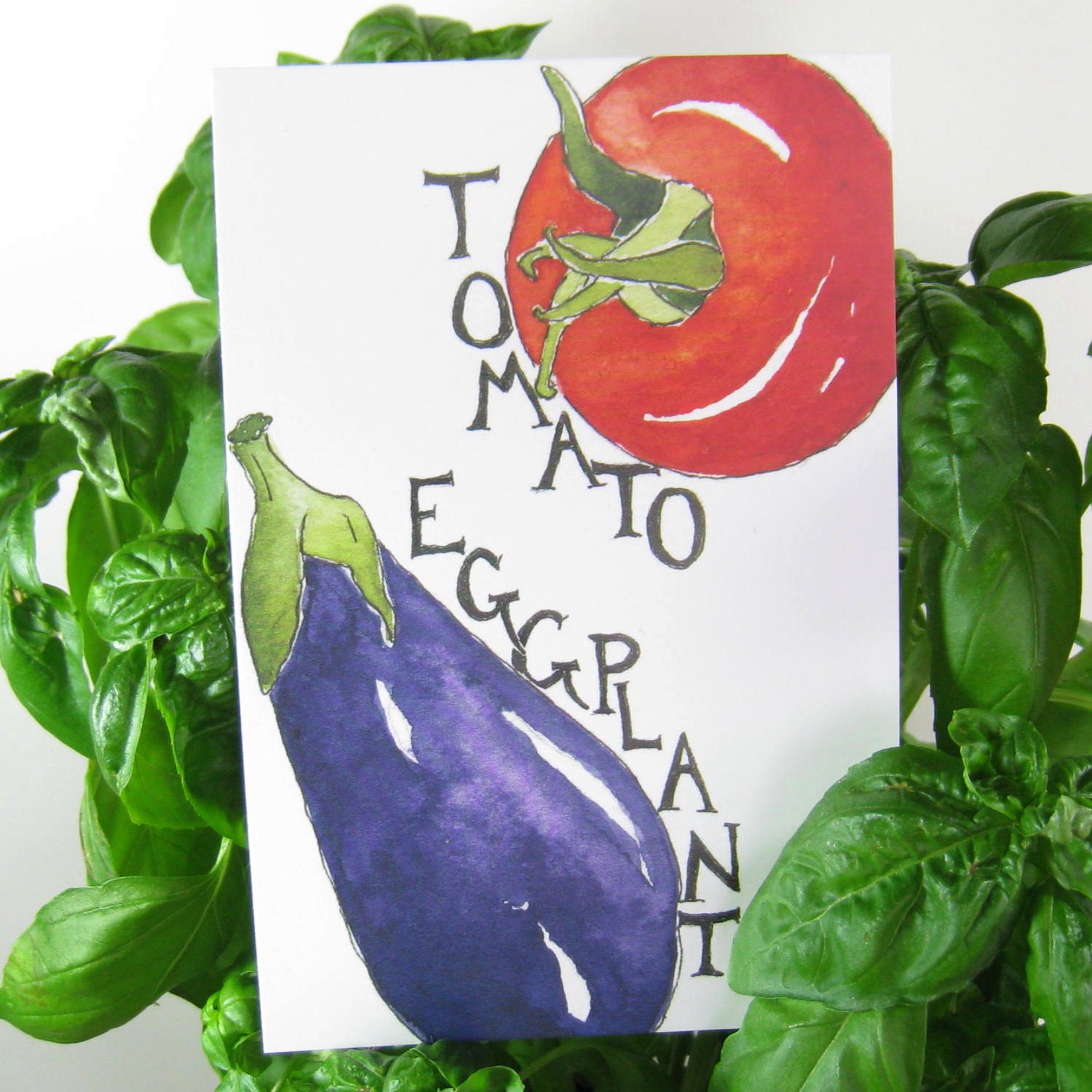 Three Tomato and Eggplant Postcards, gardening quotation on back, 4 in x 6 in, silky smooth cardstock