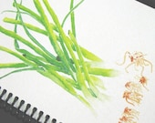 Notebook, Green Onions, 4.5 x 6.5 inches, blank pages