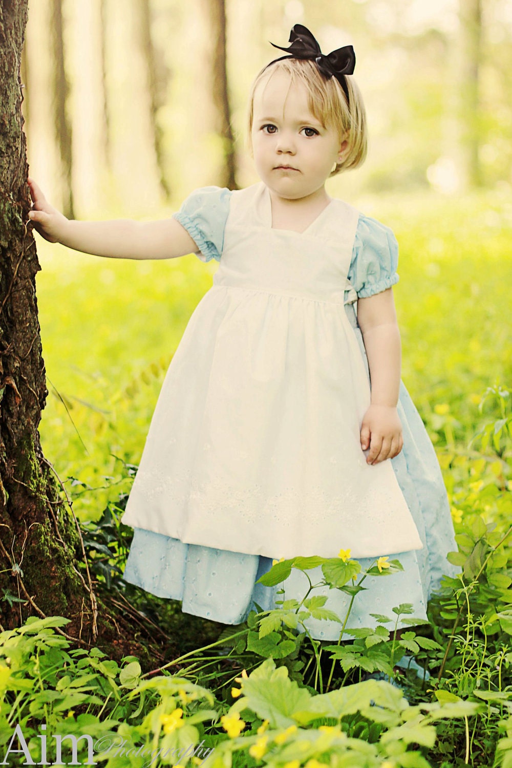 Alice Dress and Apron - 12m, 18m, 2T, 3T, 4T - Halloween Costume