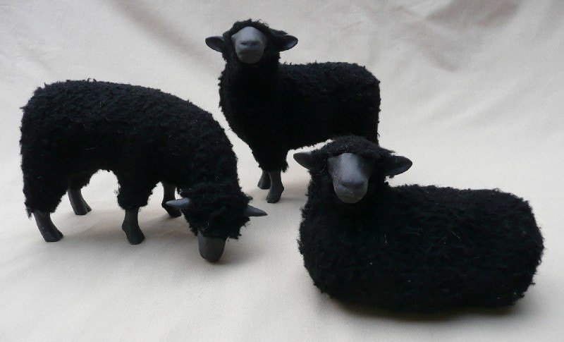 Black Sheep Trio II