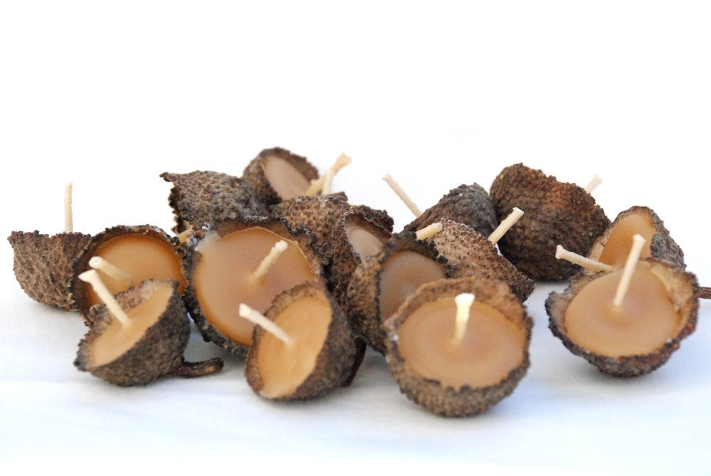 10 Acorn Cap Candles - Floating - Beeswax