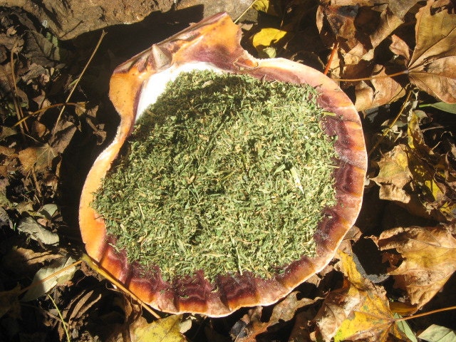 Organic Alfalfa-Hoodoo-Voodoo-Witchcraft-Wicca-Abundance, Prosperity, Protection Against Going Without-Nutrient Rich, Aids Digestion