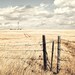 Wyoming - Western Landscape Photograph - Rustic Art - Ranch Decor - Monochromatic Photo - Nostalgic American West Photography