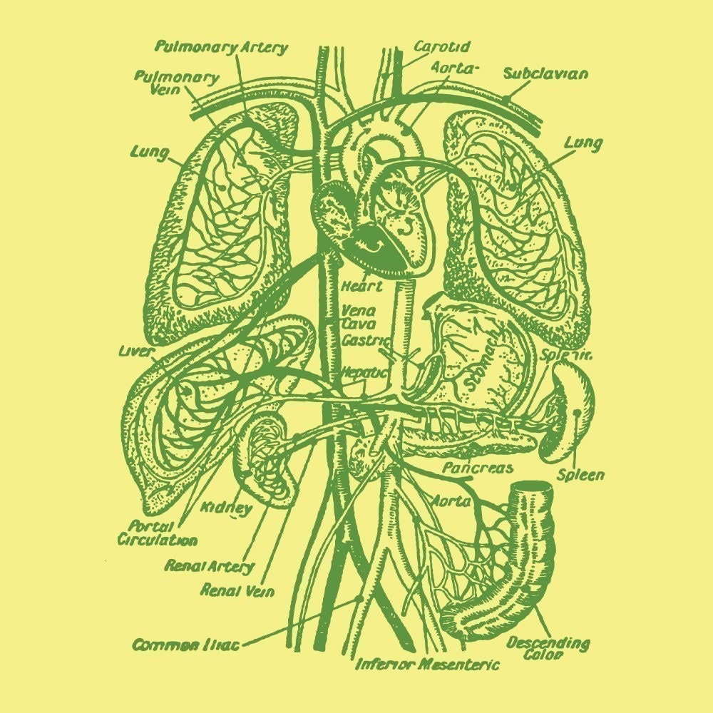 Organs TShirt Vintage Anatomy Tee MENS Shirt